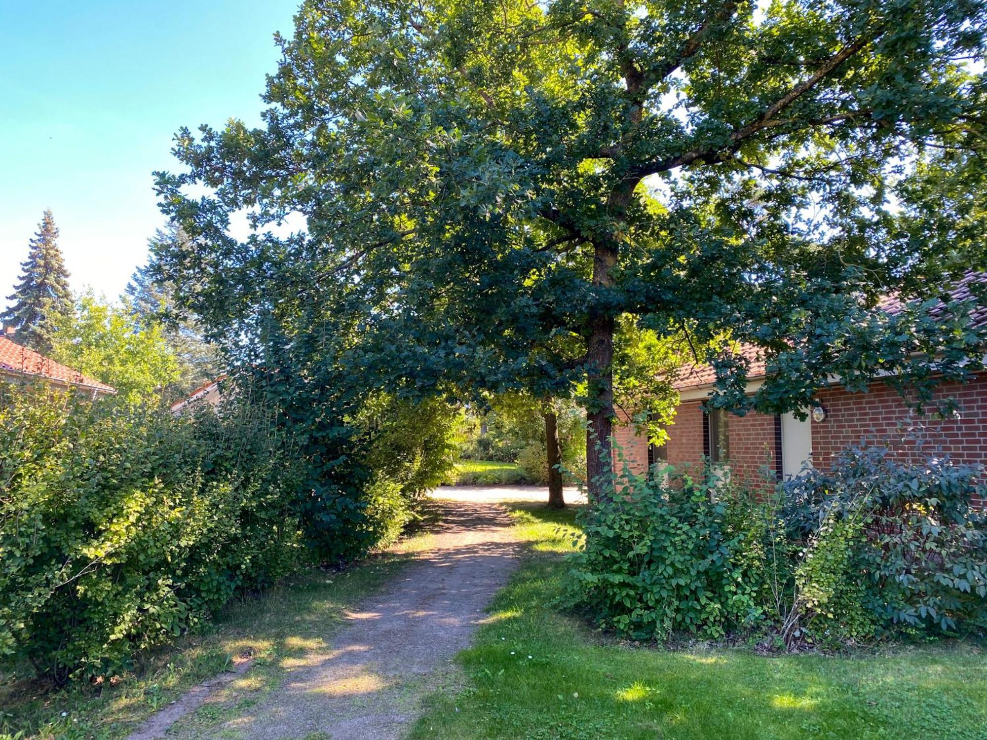 Ferienhaus Wiesengefluester W10 - Mit Sauna, Kamin Und Garten Рёбель Экстерьер фото